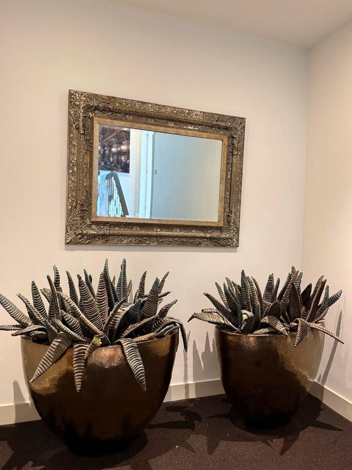 Rivièra Maison stijl Vazen, Planten & Spiegel - Brons, Huis en Inrichting, Woonaccessoires | Spiegels, Zo goed als nieuw, 50 tot 75 cm