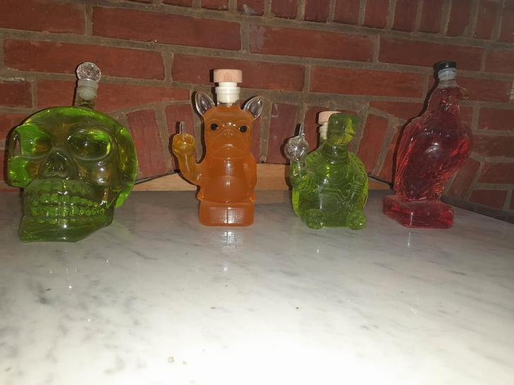 Whiskey in Speciale Flessen, Huis en Inrichting, Woonaccessoires | Vazen, Zo goed als nieuw, Overige kleuren, Minder dan 50 cm