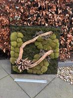 moschilderij met hout, platmos, bolmos, Ophalen, Zo goed als nieuw