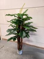 Kunstpalm Varen - 180cm - 3 Stammen kunstplant boom, Binnen, MTC, Lankforst, Nieuw