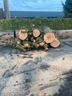 5 m3 eiken stammen, Tuin en Terras, Haardhout, 3 tot 6 m³, Ophalen, Eikenhout, Stammen