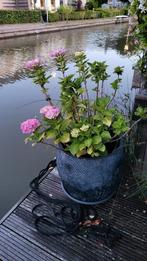 Ronde plantenbak, antraciet donker, 42 cm hoog incl plant, Ophalen, Overige materialen, 40 cm of meer, Rond