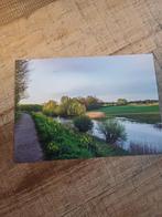 Neerijnen, Ophalen of Verzenden