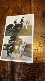 Ansichtkaart koningshuis jagers jacht, Ophalen of Verzenden, Voor 1920