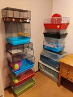 Veel kooien / terrariums / toebehoren voor hamsters, Dieren en Toebehoren, Knaagdieren en Konijnen | Hokken en Kooien, Minder dan 60 cm