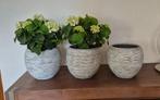 3 grote bloempotten NIEUWSTAAT, Tuin en Terras, Bloempotten, Ophalen, Steen, Rond, Binnen