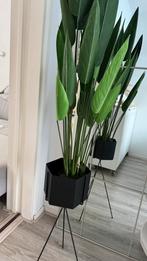 Hexagon Plantenbak (Zwart), 25 tot 40 cm, Binnen, Ophalen of Verzenden, Zo goed als nieuw