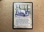 1x Arctic Foxes (Excellent), Verzenden, Zo goed als nieuw, Losse kaart