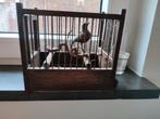 Oud vintage vogelkooitje met houten vogeltje, Ophalen