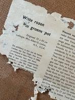 Van Gogh - Witte Rozen in Groene Pot (Kopie), Antiek en Kunst, Kunst | Schilderijen | Klassiek, Ophalen of Verzenden