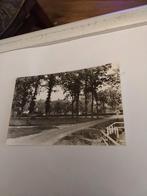 GROETEN UIT MEPPEN. 1968, Ophalen of Verzenden, 1960 tot 1980