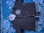 Varsity jacket billionaire boys club, Kleding | Heren, Ophalen, Bruin, Maat 56/58 (XL), Billionaire boys club