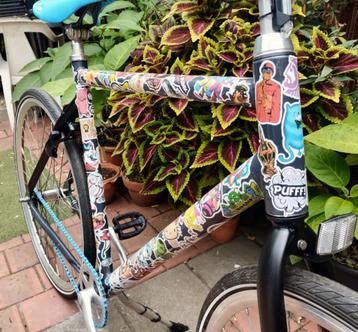 Fixie style photobomb naked bike! beschikbaar voor biedingen