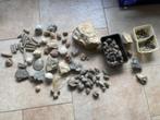 fossielen en mineralen, Verzamelen, Mineralen en Fossielen, Fossiel, Ophalen