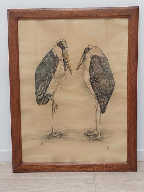 Berend Sluyterman (1900-1999) | Litho van twee maraboes, Antiek en Kunst, Kunst | Litho's en Zeefdrukken, Ophalen of Verzenden