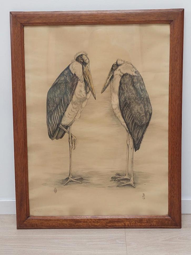 Berend Sluyterman (1900-1999) | Grote litho van 2 maraboes, Antiek en Kunst, Kunst | Litho's en Zeefdrukken, Ophalen of Verzenden