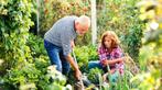 Tuinhulp aangeboden, Ophalen, Volle zon, Overige soorten