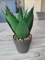 Nieuw! Kunst Cactus in vaste pot met steentjes., Ophalen of Verzenden, Nieuw, Binnen