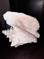 krabschelp, Ophalen, Mineraal