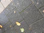 We zoeken deze klinkers een stuk of 12, Tuin en Terras, Tegels en Klinkers, Ophalen of Verzenden, Gebruikt, Beton, Klinkers