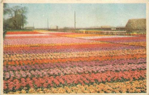 (380-032-007) Bodegraven, Verzamelen, Ansichtkaarten | Nederland, Zuid-Holland, Verzenden