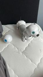 Silverlit robothond Robo Dackel Junior, Ophalen of Verzenden, Gebruikt