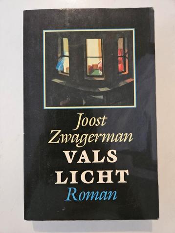 Joost Zwagerman - Vals licht beschikbaar voor biedingen