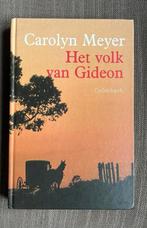 C. Meyer - Het volk van Gideon, Boeken, Ophalen of Verzenden, Zo goed als nieuw, C. Meyer