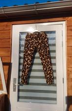 Leuke broek met print van Scotch & Soda, maat 27/32, Kleding | Dames, Ophalen of Verzenden, Zo goed als nieuw