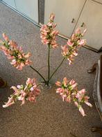 Zeer mooie groote  zijden silka bloemen, Ophalen of Verzenden, Zo goed als nieuw