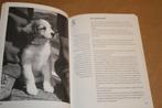 Het kooikerhondje. Vriendenboek Ver. Ned. Kooierkerhondje., Ophalen of Verzenden, Gelezen, Honden
