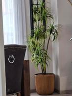 Kunstplant met bloempot, Ophalen, Zo goed als nieuw