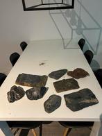 Terrarium stenen, Dieren en Toebehoren, Reptielen en Amfibieën | Toebehoren, Ophalen, Gebruikt, Tak, Plant, Rots of Steen