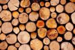 GEZOCHT: Zacht en droog hout, Doe-het-zelf en Verbouw, Hout en Planken, Ophalen, Plank