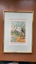 Vintage Litho ooievaar, Antiek en Kunst, Curiosa en Brocante, Ophalen of Verzenden