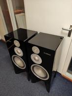 Yamaha NS-5000, Overige merken, Gebruikt, Ophalen of Verzenden, Nvt