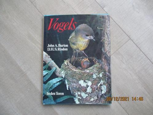 Vogelboek --- Vogels in de Toren . !!, Boeken, Dieren en Huisdieren, Zo goed als nieuw, Vogels, Verzenden
