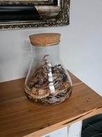 Decoratiepot glas met inhoud 20cm Hg, Zo goed als nieuw, Ophalen