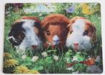 Kaart met 3D-effect: Cavia's, Verzamelen, Ansichtkaarten | Dieren, Ophalen of Verzenden, 1980 tot heden, Ongelopen, Knaagdier