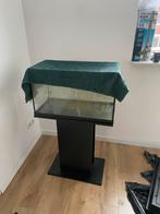 Aquarium 60x36 complete set, Dieren en Toebehoren, Vissen | Aquaria en Toebehoren, Ophalen, Gebruikt, Leeg aquarium