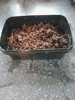 De hele winter leverbaar mestpieren voor witvissen, Ophalen