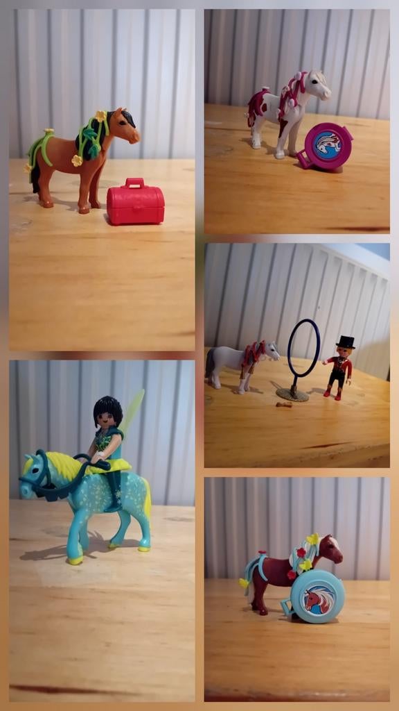 Losse Playmobil: Paarden, Poppetjes, Auto & Trailer, Ophalen of Verzenden, Meer dan 50 stukjes, 6 jaar of ouder