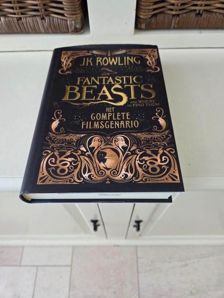 J.K. Rowling - Fantastic beasts and where to find them, Boeken, Kinderboeken | Jeugd | 13 jaar en ouder, Gelezen, Ophalen of Verzenden