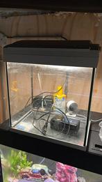 Superfish bakje met pomp en verlichting, Ophalen of Verzenden, Zo goed als nieuw, Leeg aquarium