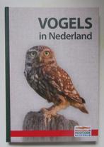 VOGELS IN NEDERLAND, Vogels, Ophalen of Verzenden, Zo goed als nieuw