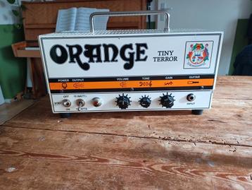Orange Tiny Terror  beschikbaar voor biedingen