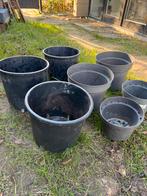 Grote plastic kweekpotten | Gratis af te halen, Tuin en Terras, Ophalen, Kunststof, Gebruikt, Minder dan 30 cm