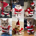 🟢 NIEUW grappig Kerstkleding setje kat / poes | BIEDEN 🟢, Dieren en Toebehoren, Ophalen of Verzenden, Nieuw