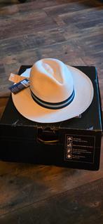 Diverse nieuwe hoeden, Kleding | Heren, Ophalen of Verzenden, Nieuw