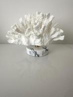 Koraal beeld decoratie, Ophalen of Verzenden, Dier